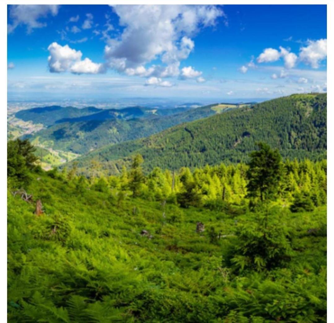 באיירסברון Naturblick מראה חיצוני תמונה